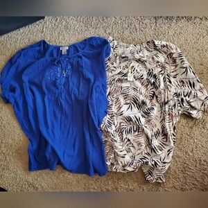 Set Of 2 Catherine's Women Blouses - Size 5X